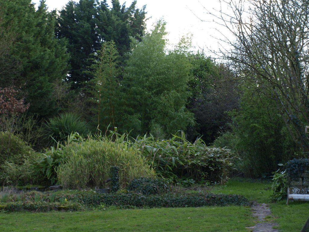 Le Cordon Blanc-Evran Bed and Breakfast Buitenkant foto